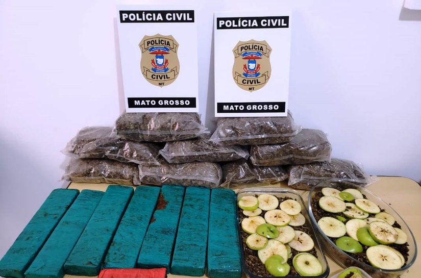 Polícia Civil apreende mais de 10 quilos de drogas em granja de fachada