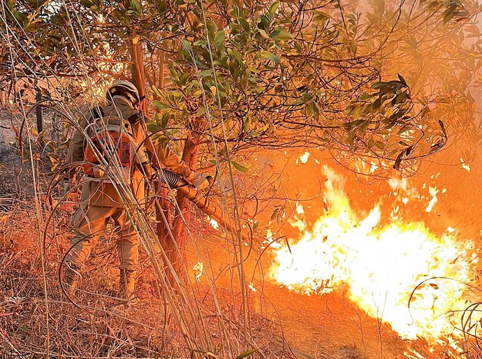 Corpo de Bombeiros combate incêndio na região do Centro Político Administrativo em Cuiabá