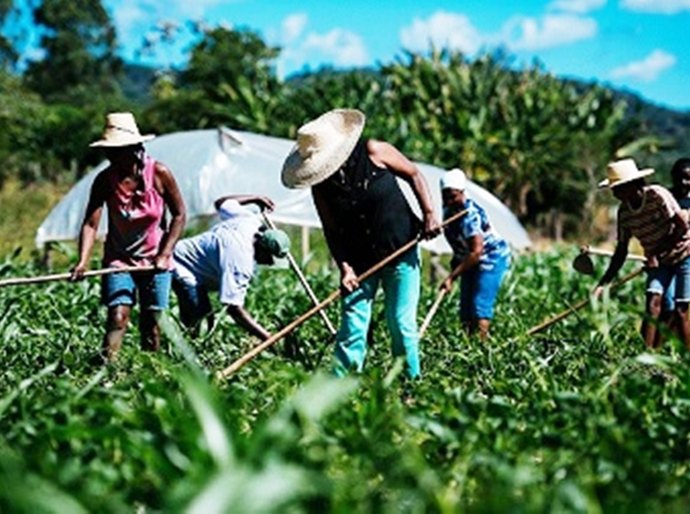 Energisa terá que definir consumo médio em MT para evitar distorções