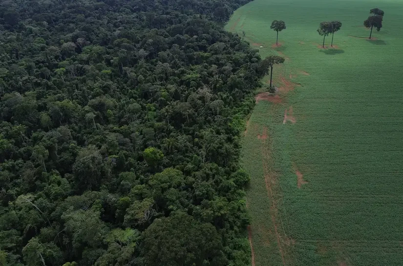 Caravana social vai à COP30 denunciar megaprojetos do agronegócio
