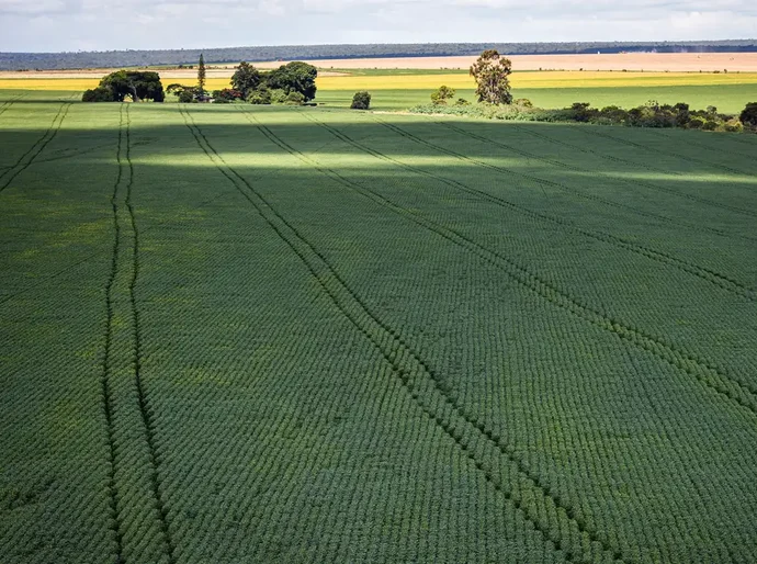 Senado aprova plano para fabricação de fertilizantes no Brasil