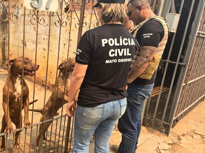 Polícia Civil prende tutora de cães pitbull encontrados em situação de maus-tratos