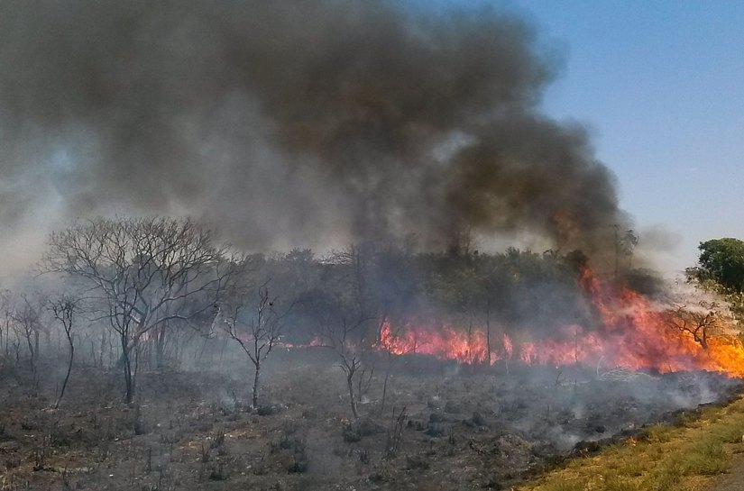 Com colapso em outros biomas, Pantanal pode secar ainda mais nos próximos anos, alerta cientista