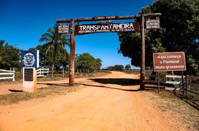Pantanal mato-grossense registra redução de 97% nos focos de calor