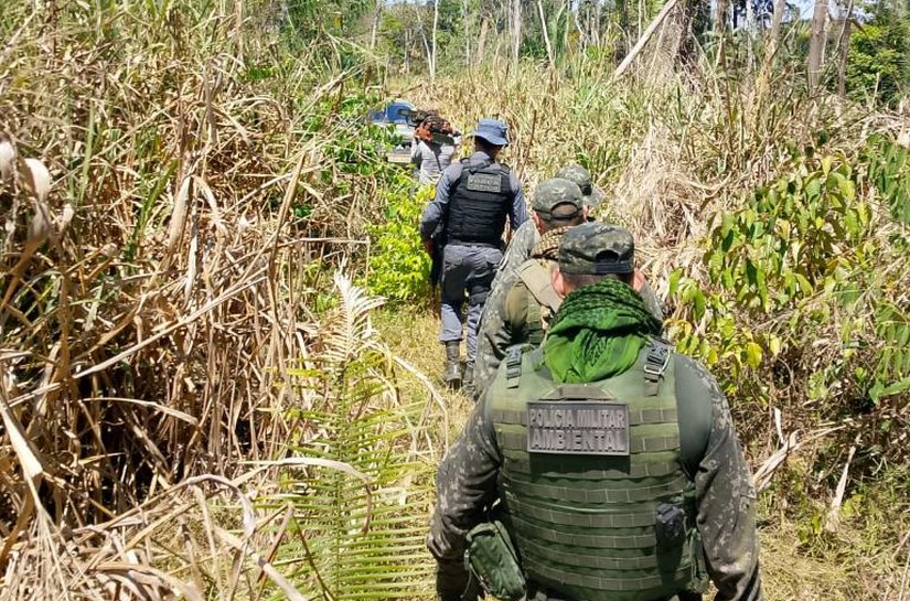 Polícia Militar fecha área de desmatamento ilegal em fazenda e prende três homens