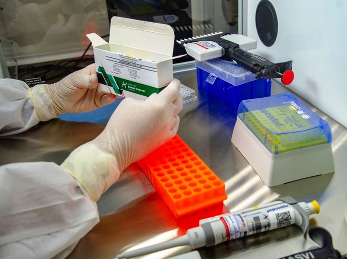 Brasil acumula 4,55 milhões de casos e 137,2 mil mortes por covid-19