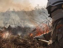 Amazônia e Pantanal têm piores queimadas das últimas duas décadas, alerta agência europeia