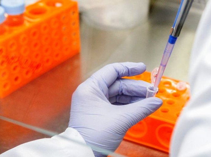 MT registra até domingo, 03, 537.836 mil casos da Covid 19 e 13.818 mil mortes