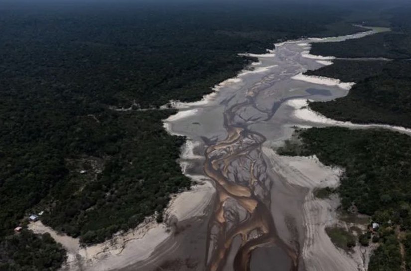 Mudanças climáticas foram 'principal' fator para seca recorde na Amazônia, diz estudo: o que isso significa para o futuro da floresta?