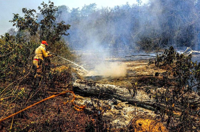 Após suspensão, Ibama determina volta dos brigadistas no combate às queimadas