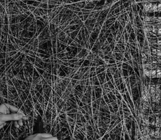 Máquinas podem pensar? Os 70 anos de história que levaram à inteligência artificial dos dias atuais