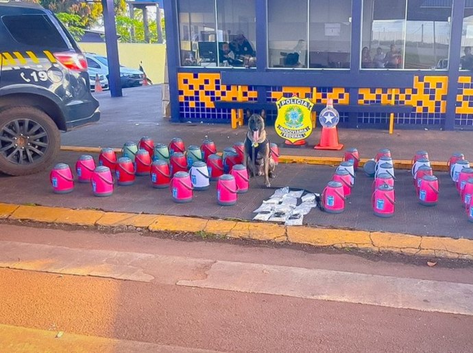 PRF apreende drogas e medicamentos em compartimento de carga na BR-163, em Rondonópolis (MT)
