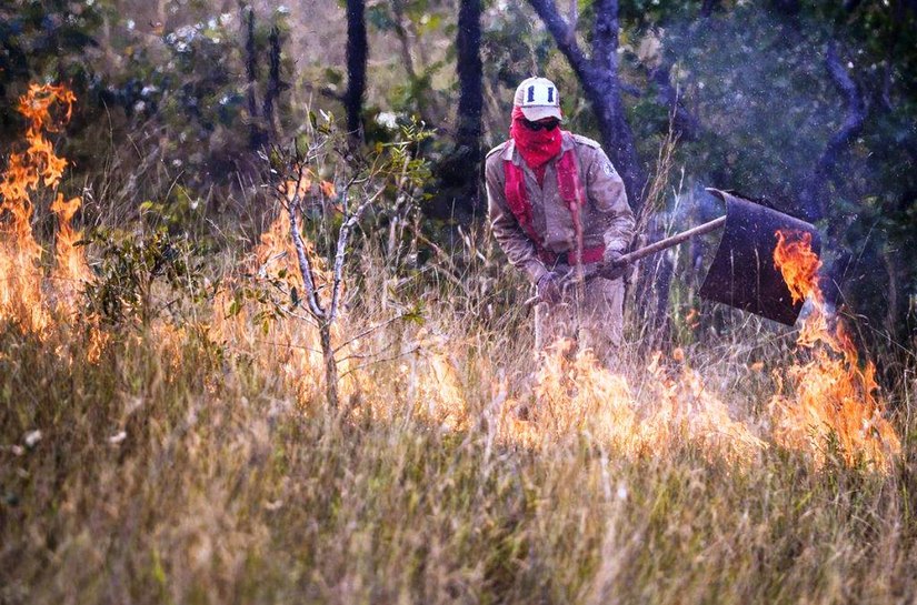 Governo de Mato Grosso lança Operação Abafa Amazônia contra crimes ambientais