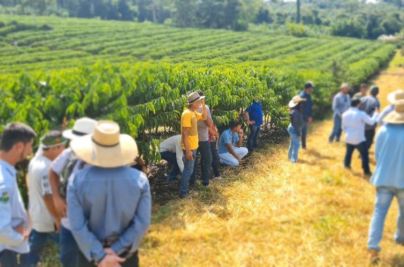 Representantes da agricultura familiar de MT buscam experiências exitosas na produção do café e do leite