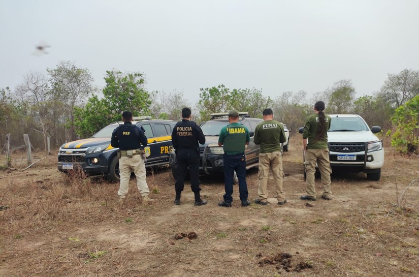 PF, em ação conjunta, combate crimes ambientes praticados na Terra Indígena Tereza Cristina em Mato Grosso