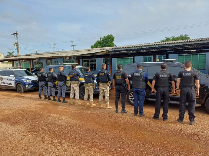 Operação Rota do Sertão desarticula organização criminosa que transportava droga e madeira ilegal em veículos clonados