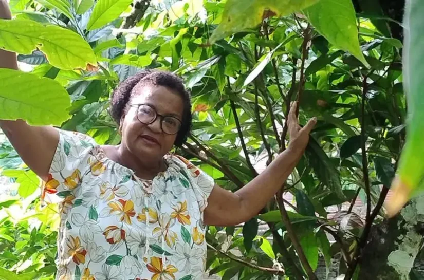 O preço do cacau bateu recorde e deixou produtores da Bahia eufóricos — mas aí veio o 'banho de água fria'
