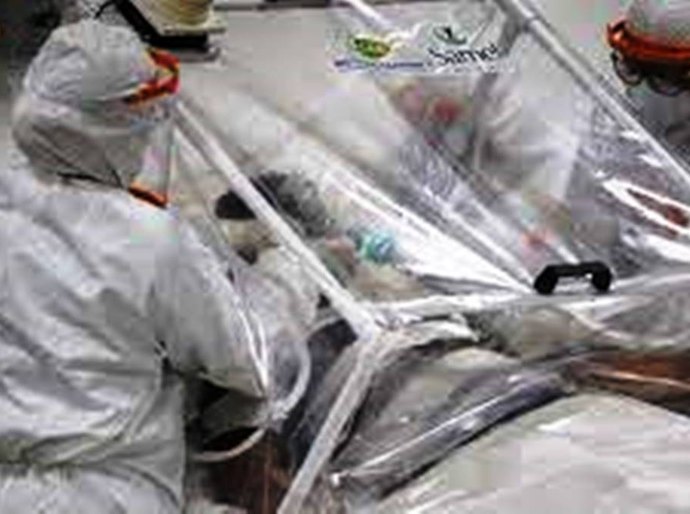 Brasil registra 874 mortes e 43.520 novos casos de Covid-19 nas últimas 24 horas