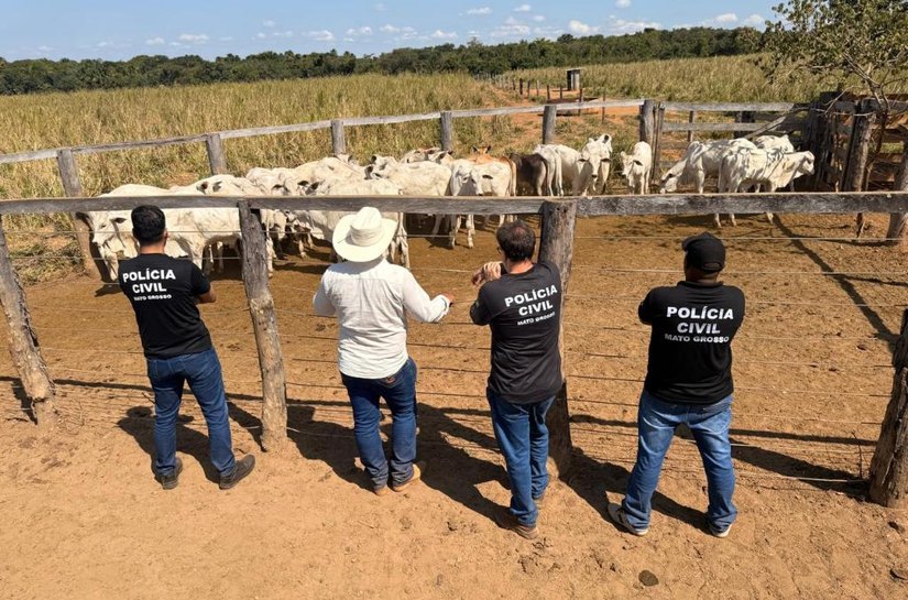 Operação integrada entre as Forças de Segurança Pública resulta na recuperação de rebanho furtado em propriedade rural em Cocalinho,MT