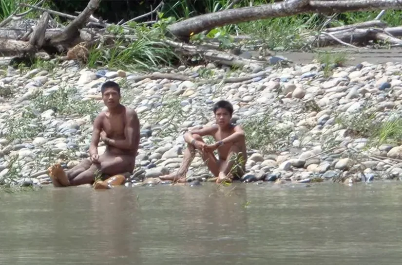 'Irmãos na floresta': a luta para proteger aldeia isolada da Amazônia