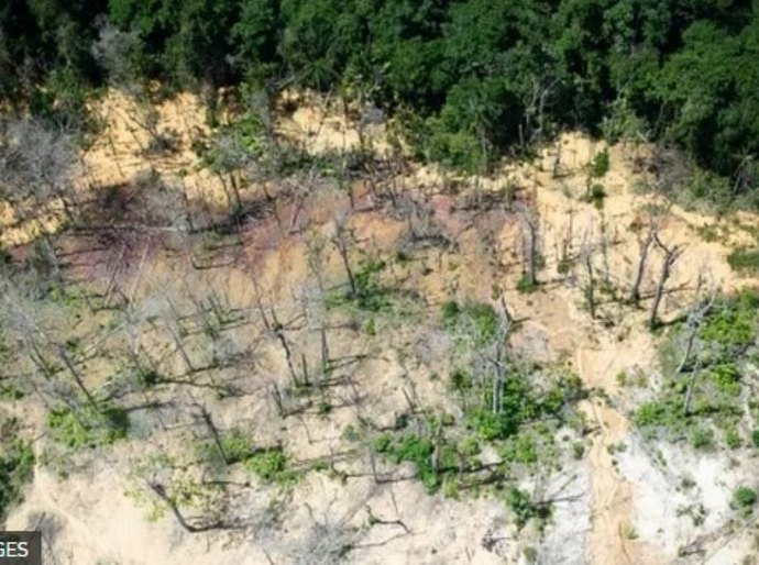 Brasil ignorou decisão de corte internacional sobre os yanomami desde julho