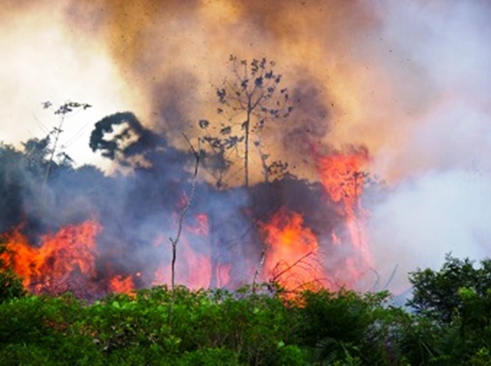 MP cria força-tarefa e lança campanha contra queimadas urbanas e rurais