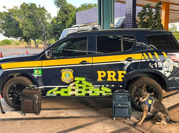 PRF apreende 20 tabletes de maconha em ônibus interestadual na BR-364 em Cuiabá