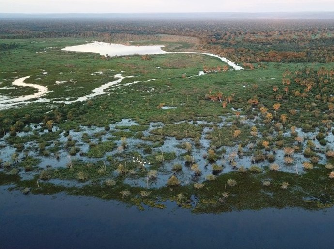 TAC prevê a criação de duas unidades de conservação no Pantanal