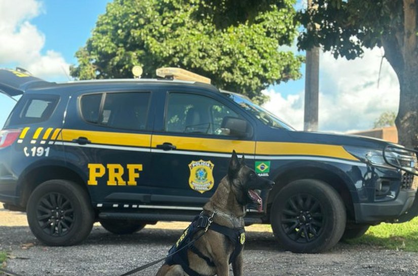 PRF apreende quase 100 quilos de entorpecentes em quatro ocorrências em Mato Grosso