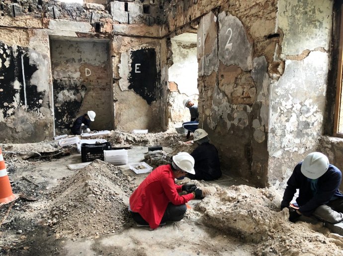 Esqueleto de dinossauro de 80 milhões de anos é resgatado de escombros em museu