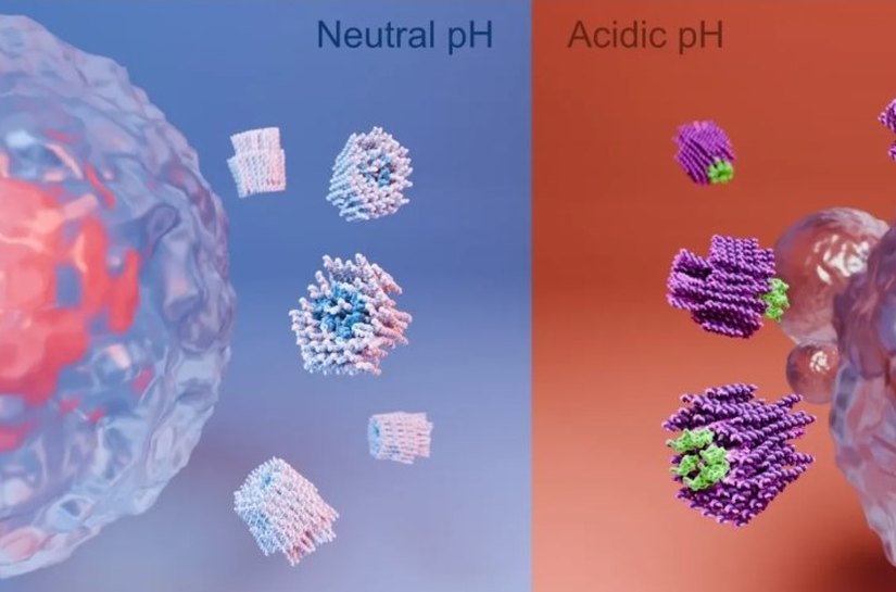 Cientistas desenvolvem nanorrobôs que podem “matar” células cancerígenas