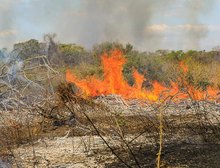 Polícia Militar prende homem por provocar incêndio em zona rural de Vila Rica, MT