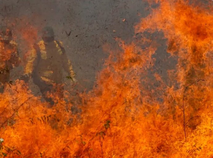 Pantanal acumula em 12 meses mais de 9 mil focos de incêndio