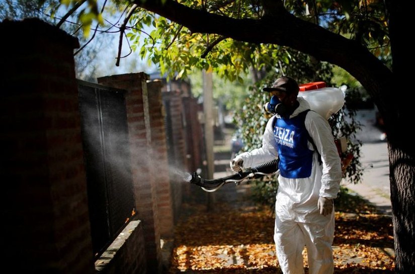 Por que casos de dengue estão se multiplicando na Europa