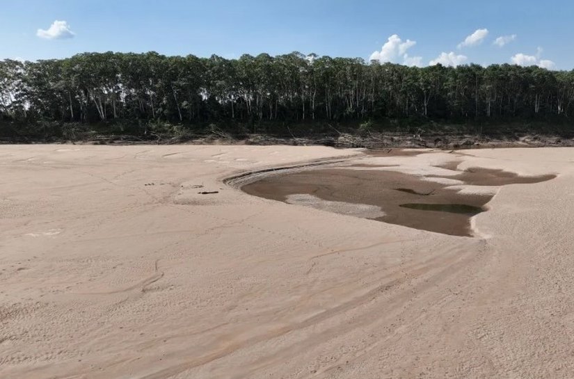 Rios secam e Amazônia pode ter seca como nunca vista antes na história