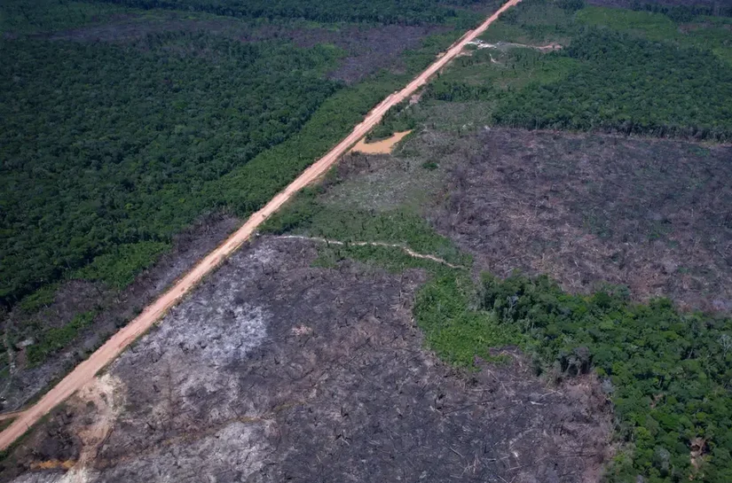 Desmatamento na Amazônia cai 36,87% no último ano