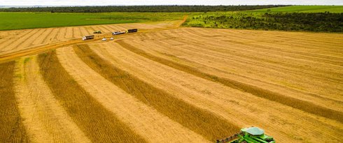 Mato Grosso consolida safra 25/26 com produção recorde e mantém liderança na soja há 26 safras