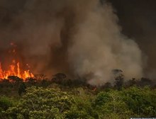 Incêndios podem ter afetado mais de 11 milhões de pessoas no Brasil