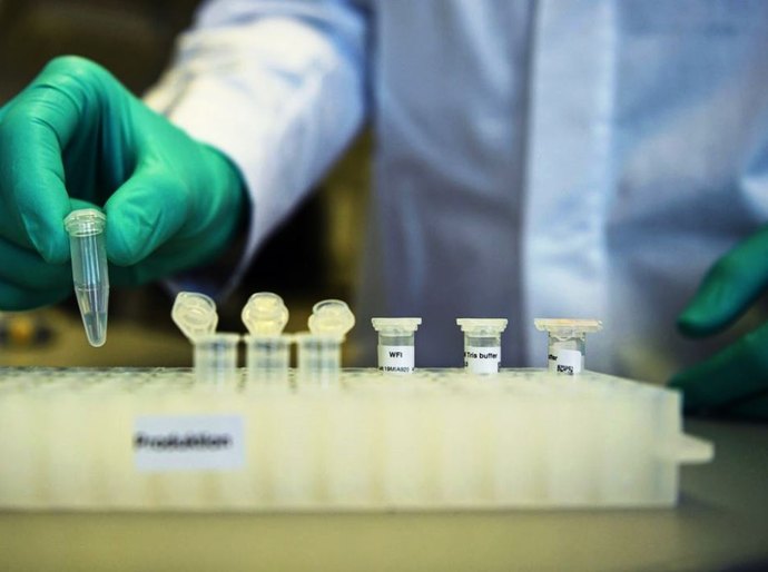 Covid-19: Brasil tem 1,96 milhão de casos e 75,3 mil mortes