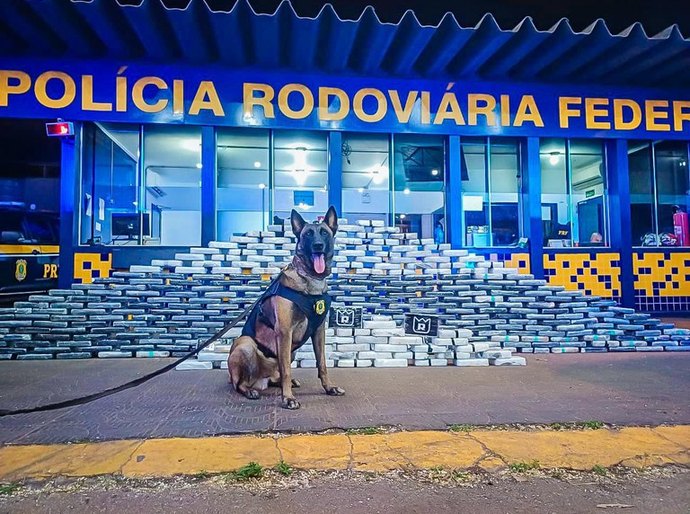 PRF apreende aproximadamente 400 kg de cocaína em Rondonópolis, MT