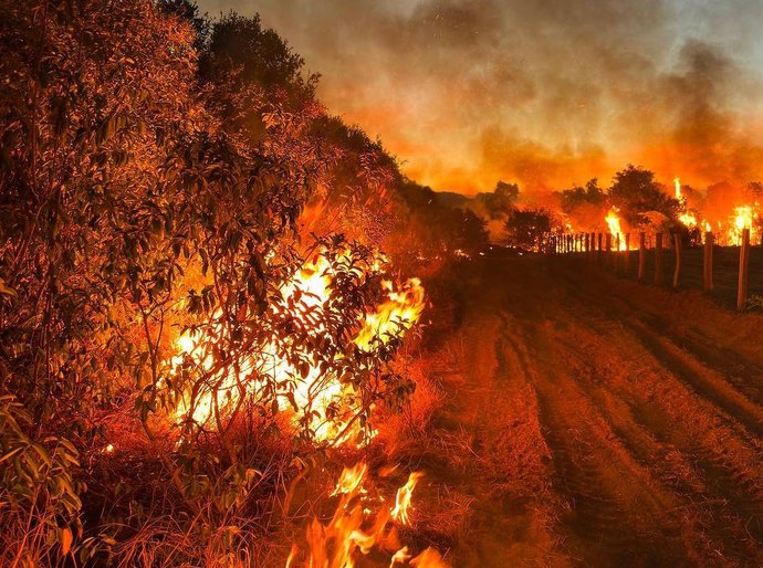 MT e MS somam quase 4 mil focos de incêndio em novembro; Pantanal é afetado