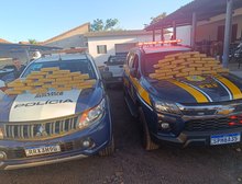Polícia Militar e PRF apreendem 50,6 quilos de maconha escondidos em carroceria de veículo em Ribeirão Cascalheira