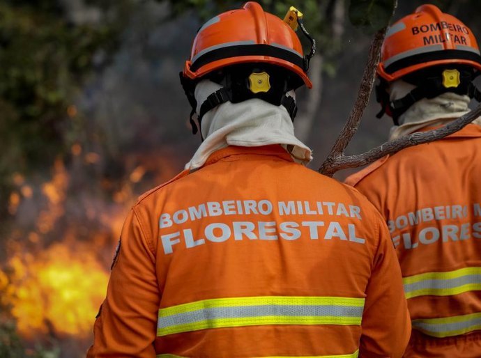 Uso do fogo em área do Pantanal está proibido a partir deste domingo,1º