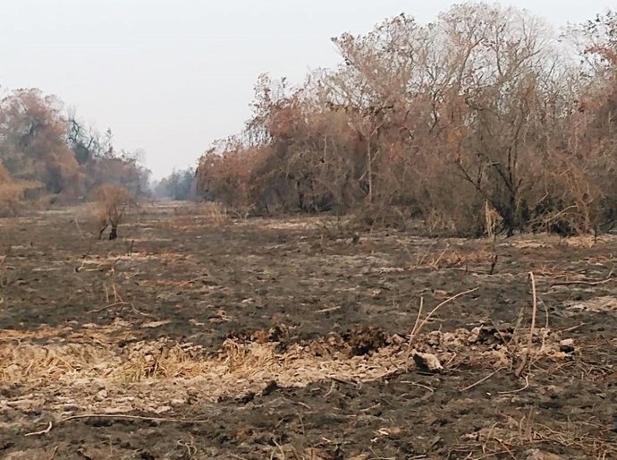 TCE-MT e CET-Pantanal acompanham ações de enfrentamento às queimadas no Pantanal