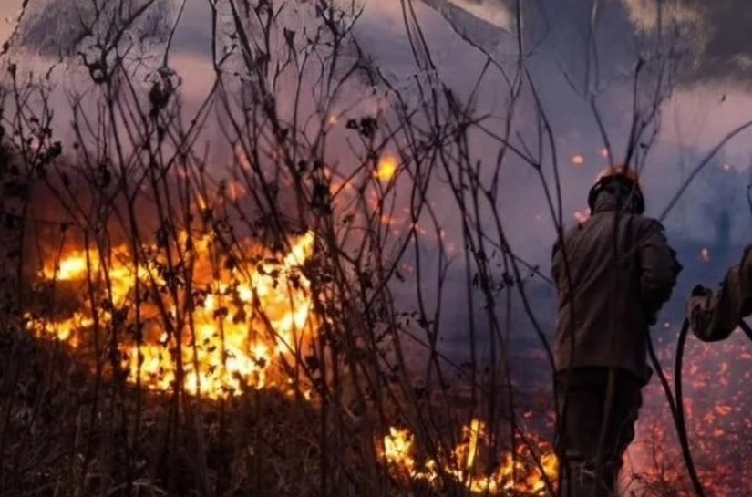 Governo prepara pacote ambiental contra queimadas para apresentar à ONU