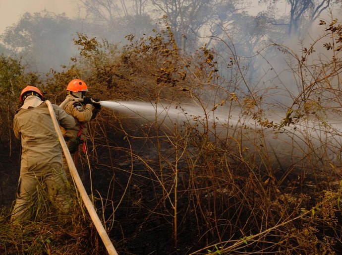 Período proibitivo de uso de fogo em áreas rurais começa neste sábado (1º)