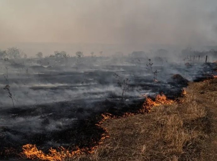 O que explica recorde de incêndios no Pantanal