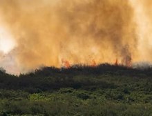 MS decreta situação de emergência em cidades atingidas pelos incêndios no Pantanal