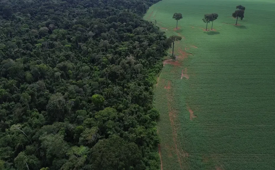 Caravana social vai à COP30 denunciar megaprojetos do agronegócio