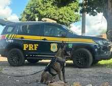 PRF apreende quase 100 quilos de entorpecentes em quatro ocorrências em Mato Grosso
